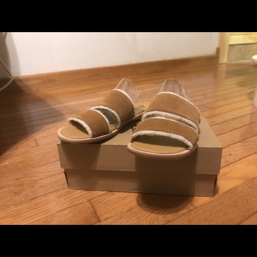 Ugg evalita - Picture 2 of 5